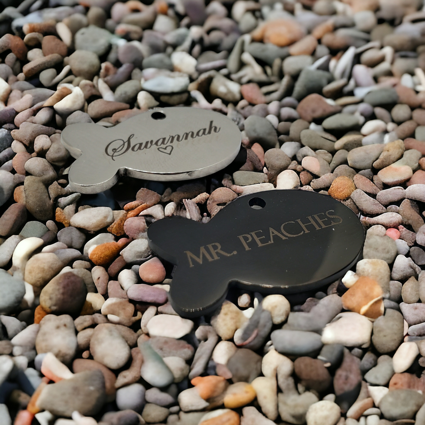 Gold Fish Cat ID Tag | Laser Engraved Pet Tag Stainless Steel