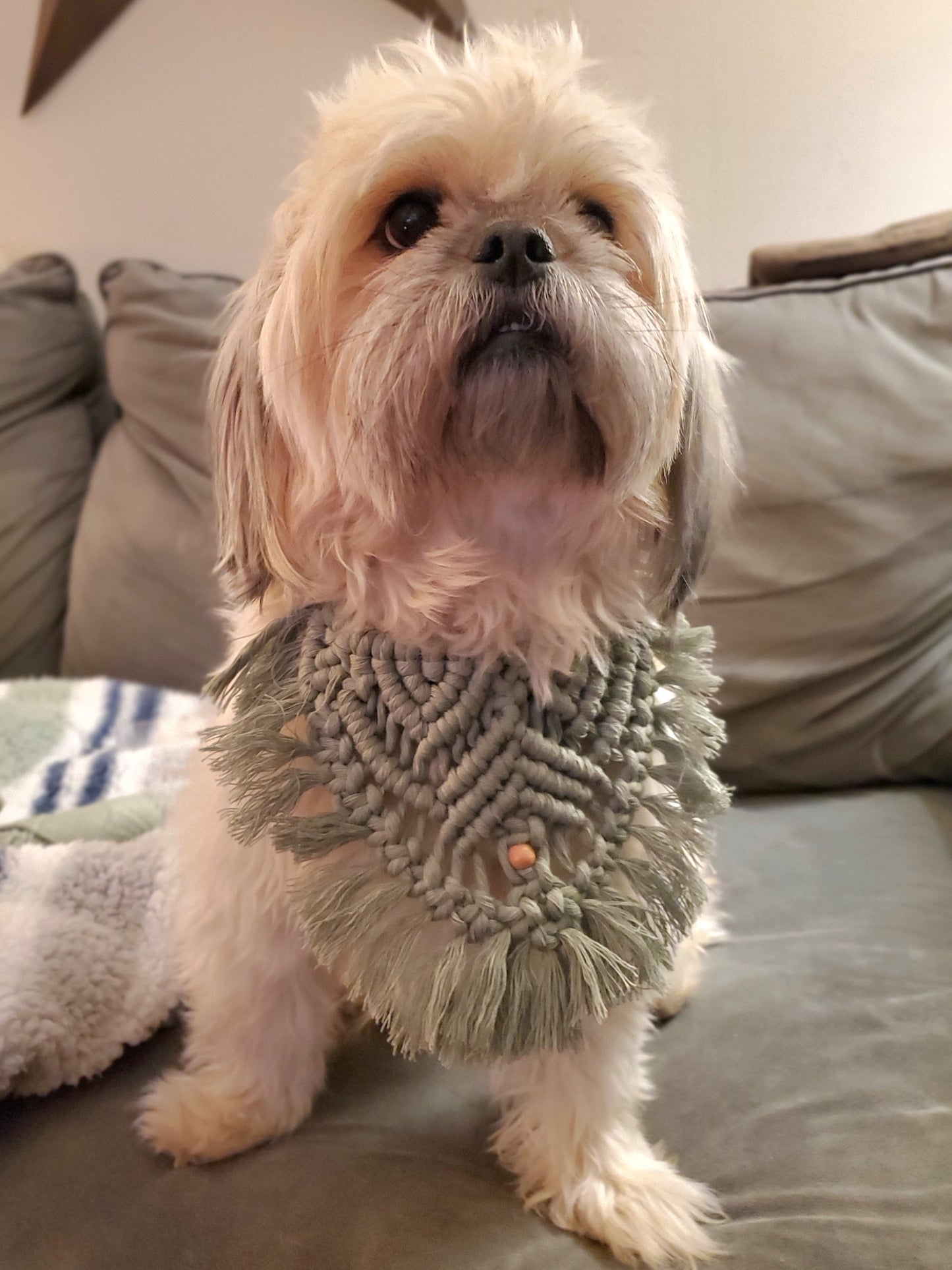 Sage Green Macrame 'Dog Face' Bandana