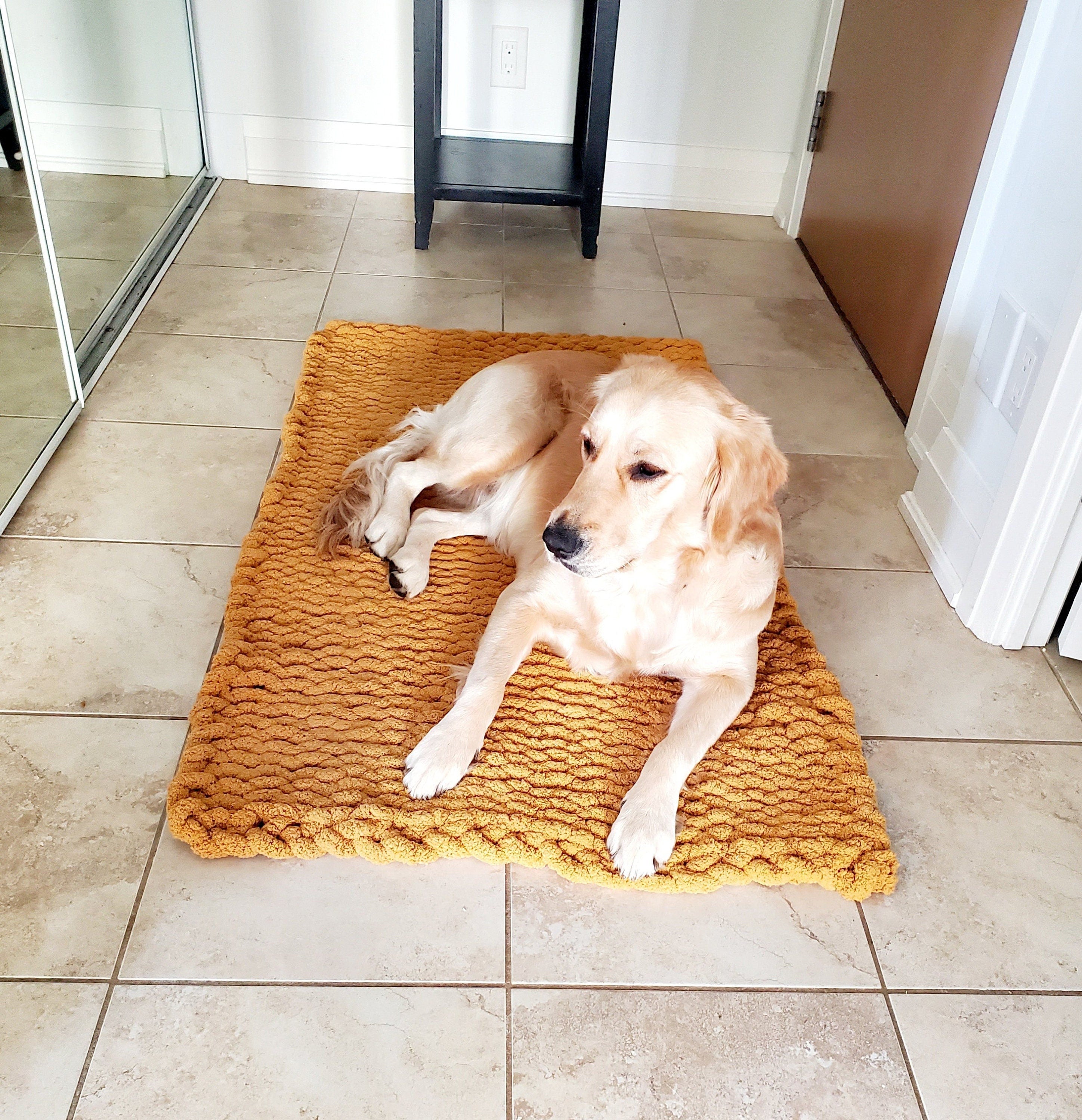 Blanket over cheap crate for puppy