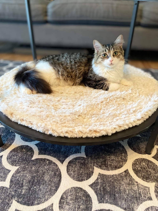 Calming Cat Bed Insert | Anti Anxiety Mat